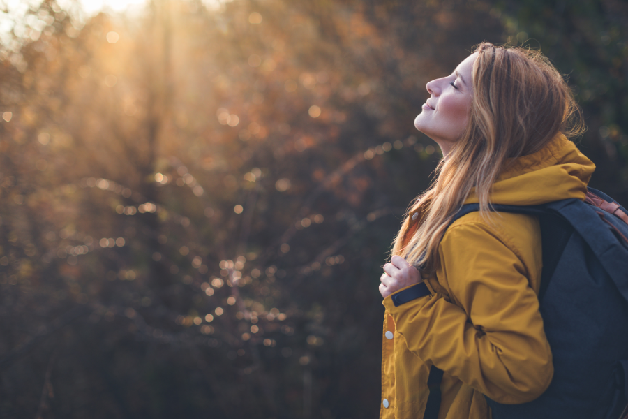 Empowering a Planet in Harmony Through Forest Friends